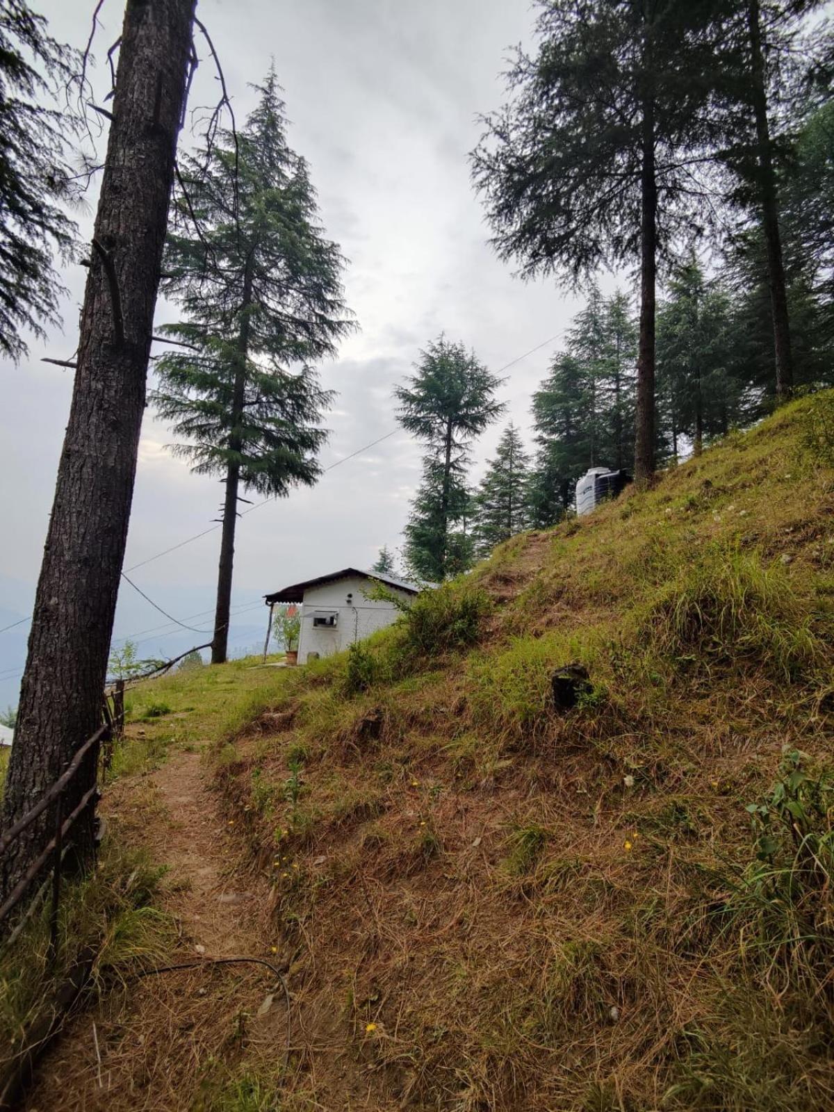 Little Himalayan Abode Villa Almora Exteriör bild